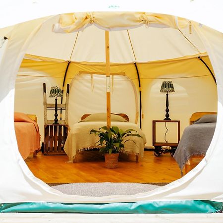 Luxury Glamping Retreat In Battle Villa Exterior foto
