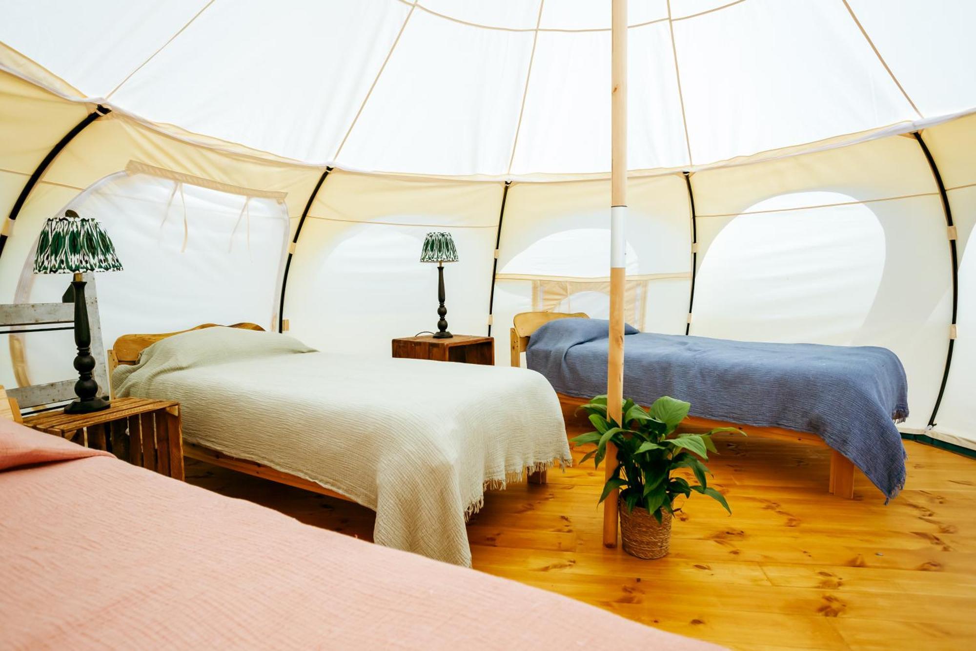 Luxury Glamping Retreat In Battle Villa Exterior foto